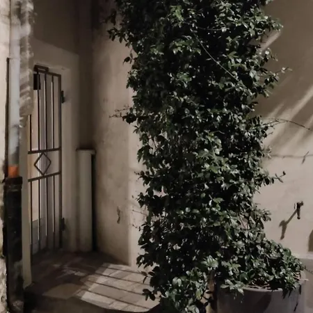 Beau Climatise/wifi, Proche Arenes Et Gare Apartment *